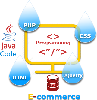 Ecommerce Web Development